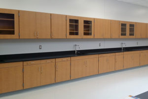 Larson Company - Featured Environments - Science Lab