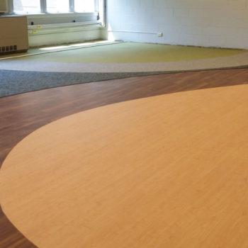 Larson Company - Project Gallery - Flooring Solutions