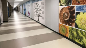 Larson Company - Project Gallery - Flooring Solutions