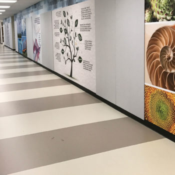 Larson Company - Project Gallery - Flooring Solutions