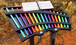 Signs Your School Playground Needs a Makeover - The Larson Equipment and Furniture Company